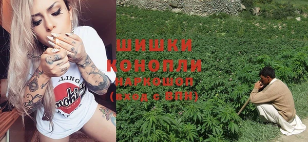сатива Алексин