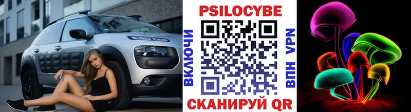 Псилоцибиновые грибы Cubensis  где найти   Бабаево 